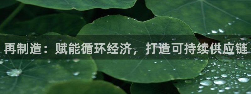 彩神app赚钱是真是假：再制造：赋能循环经济，打造可持续供应链