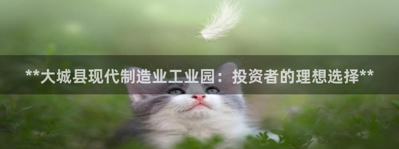 彩神是什么平台的游戏：**大城县现代制造业工业园：投资者的理想选择**
