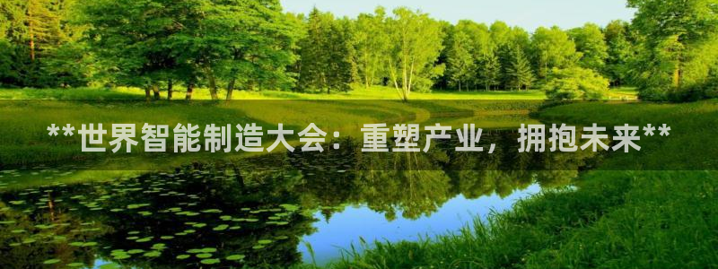 彩神争霸官网登录平台：**世界智能制造大会：重塑产业，拥抱未来**