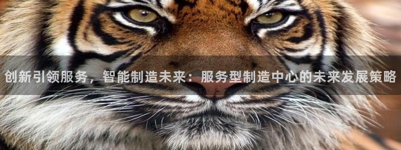 彩神v8iii：创新引领服务，智能制造未来：服务型制造中心的未来发展策略