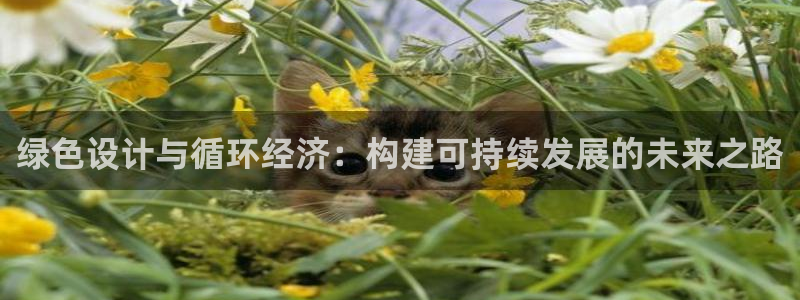 彩神V购彩大厅：绿色设计与循环经济：构建可持续发展的未来之路