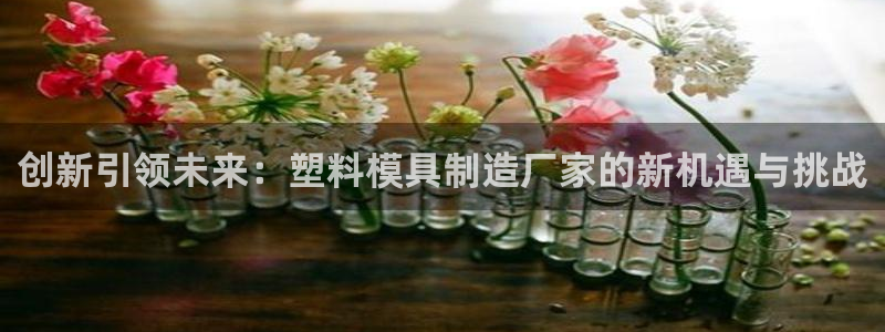 彩神v8平台正规吗：创新引领未来：塑料模具制造厂家的新机遇与挑战