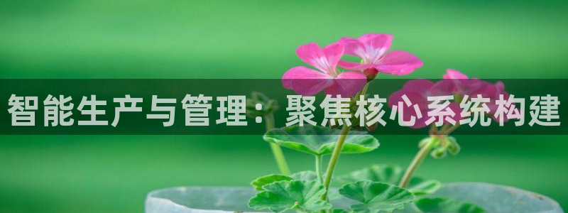 彩神ix官网是哪个公司的：智能生产与管理：聚焦核心系统构建