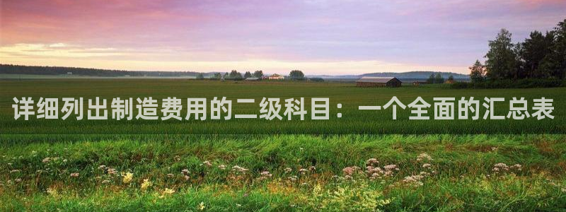 彩神赢的钱是哪里来的啊：详细列出制造费用的二级科目：一个全面的汇总表
