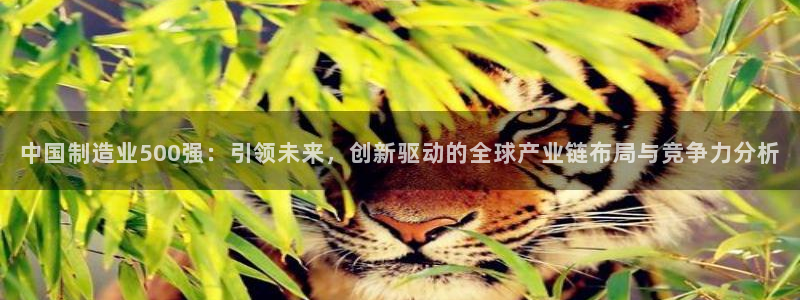 彩神vl官网：中国制造业500强：引领未来，创新驱动的全球产业链布局与竞争力分析
