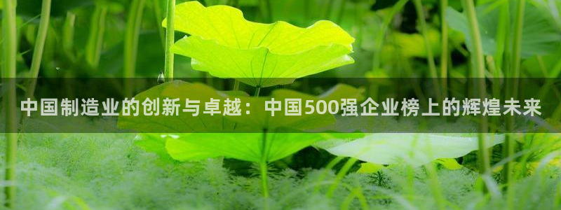 彩神争霸官方下载2017：中国制造业的创新与卓越：中国500强企业榜上的辉煌未来