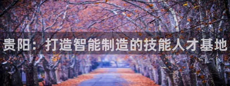 彩神v8有多久了?靠谱吗：贵阳：打造智能制造的技能人才基地