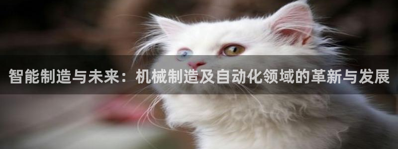 彩神app赚钱是真是假：智能制造与未来：机械制造及自动化领域