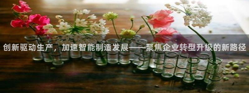 彩神vip购彩大厅：创新驱动生产，加速智能制造发展——聚焦企业转型升级的新路径