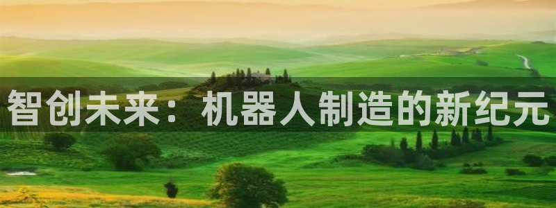彩神购彩-购彩大厅入口老版：智创未来：机器人制造的新纪元