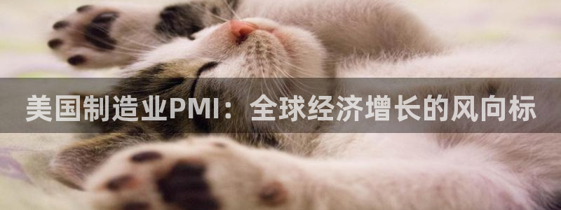 彩神赢的钱是哪里来的啊：美国制造业PMI：全球经济增长的风向标