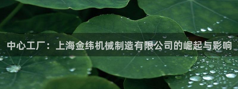 彩神vii购彩l心：中心工厂：上海金纬机械制造有限公司的崛起与影响
