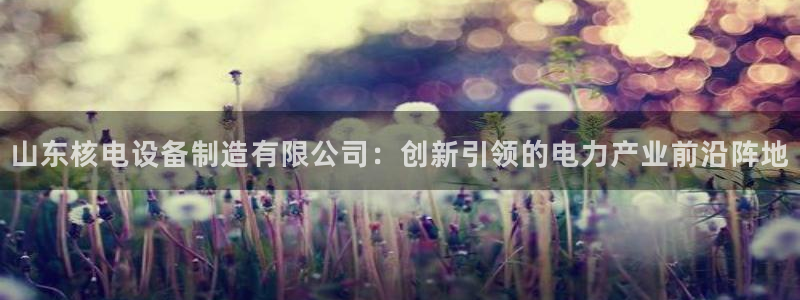 彩神x平台靠什么盈利：山东核电设备制造有限公司：创新引领的电力产业前沿阵地