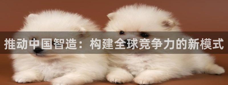 彩神vii官网大赢家：推动中国智造：构建全球竞争力的新模式