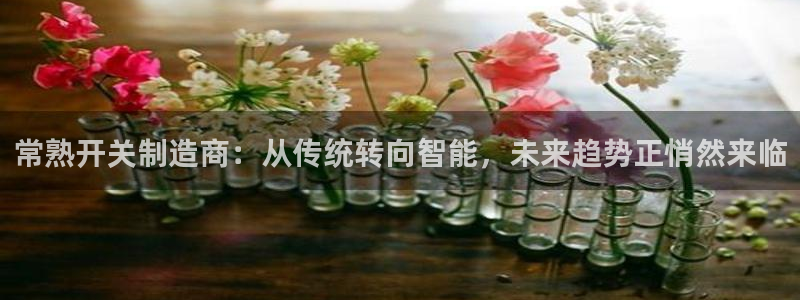 彩神v8app：常熟开关制造商：从传统转向智能，未来趋势正悄然来临