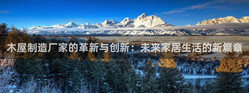 大发彩神最高邀请码：木屋制造厂家的革新与创新：未来家居生活的新篇章