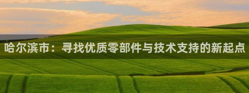 彩神大发如何观察走势：哈尔滨市：寻找优质零部件与技术支持的新
