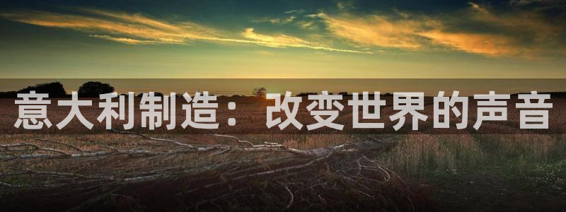 彩神V集团公司：意大利制造：改变世界的声音