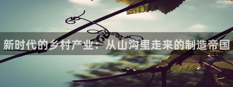 彩神客服电话：新时代的乡村产业：从山沟里走来的制造帝国