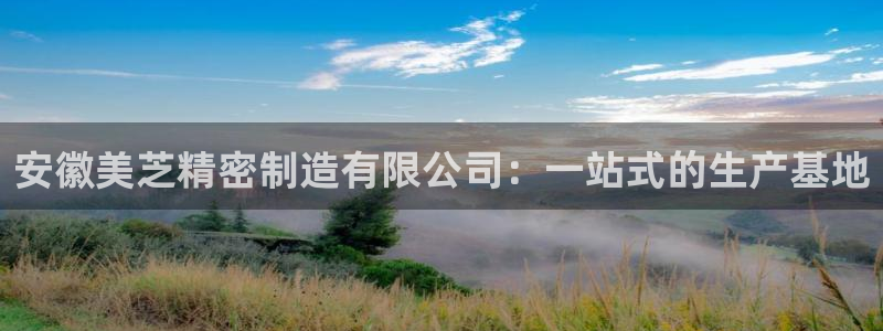 彩神正规吗：安徽美芝精密制造有限公司：一站式的生产基地