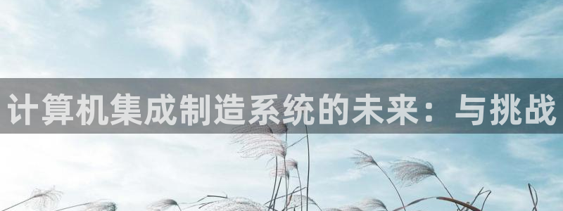 彩神vip购彩大厅在哪：计算机集成制造系统的未来：与挑战