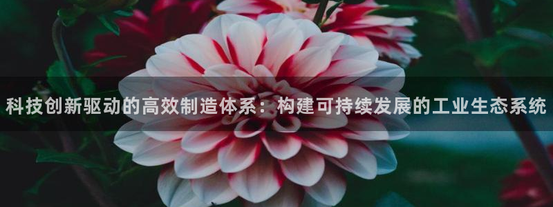 彩神购彩-购彩大厅入口娱乐首选