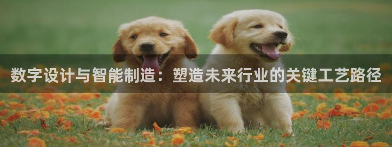 彩神8最新版下载：数字设计与智能制造：塑造未来行业的关键工艺路径