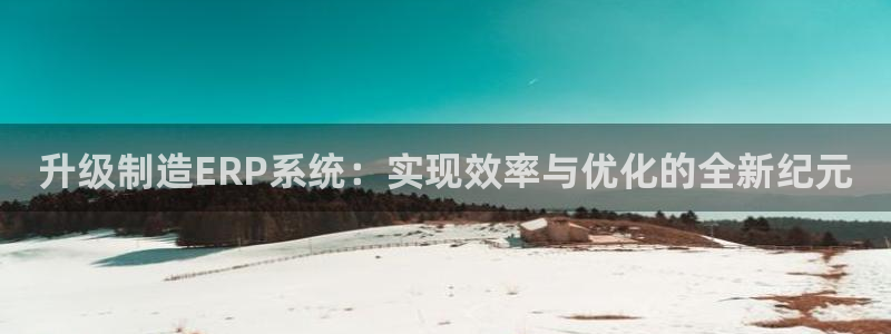 在彩神网输了六万多怎么拿回来：升级制造ERP系统：实现效率与优化的全新纪元