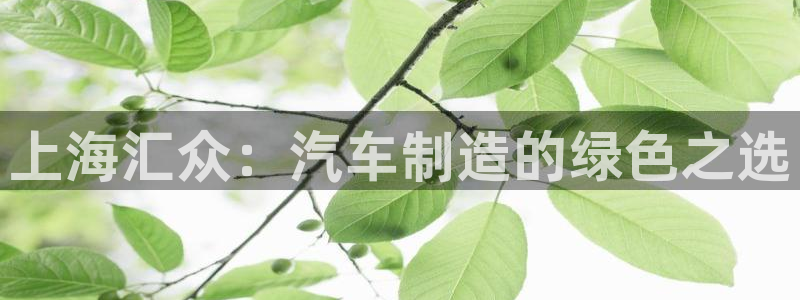 彩神赢的钱是哪里来的：上海汇众：汽车制造的绿色之选