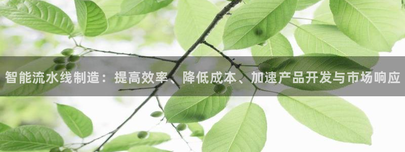 彩神app赚钱是真是假：智能流水线制造：提高效率、降低成本、加速产品开发与市场响应