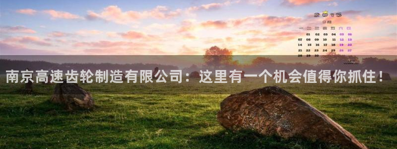 彩神大发官网：南京高速齿轮制造有限公司：这里有一个机会值得你抓住！