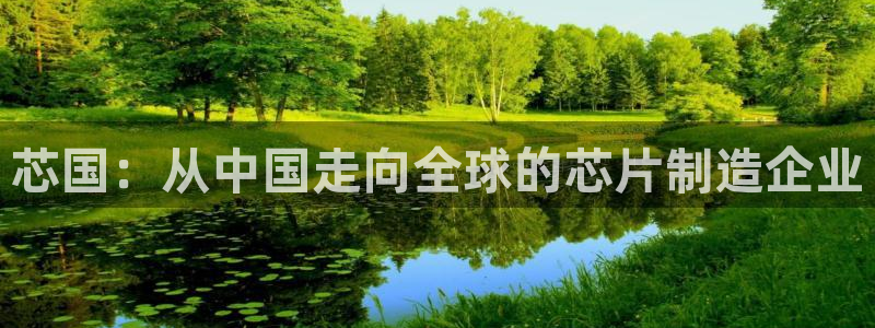彩神vl购彩大厅：芯国：从中国走向全球的芯片制造企业