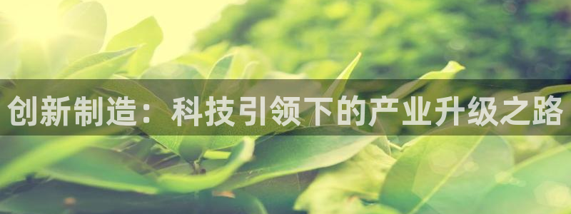 彩神v破解版：创新制造：科技引领下的产业升级之路