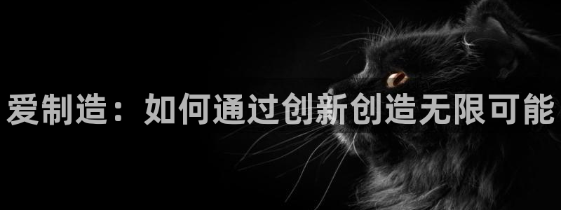彩神8彩平台官网：爱制造：如何通过创新创造无限可能
