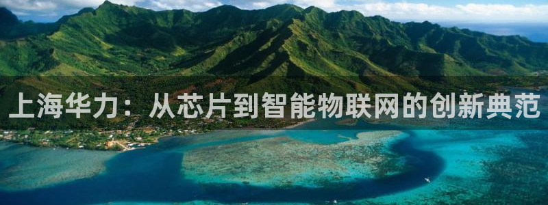 彩神V3大赢家：上海华力：从芯片到智能物联网的创新典范