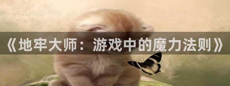 彩神v8是一个什么平台：《地牢大师：游戏中的魔力法则》