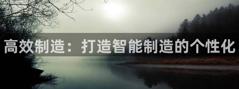 新版彩神v8登录不上去：高效制造：打造智能制造的个性化
