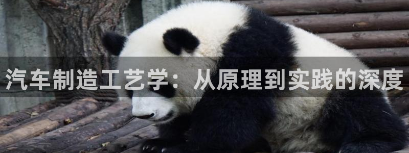v大发彩神8iii：汽车制造工艺学：从原理到实践的深度