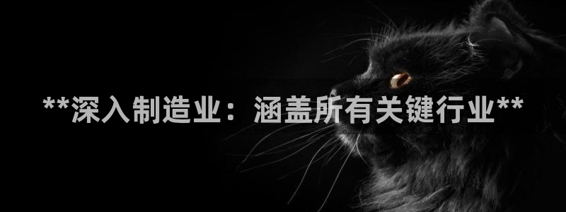 彩神网正规吗：**深入制造业：涵盖所有关键行业**