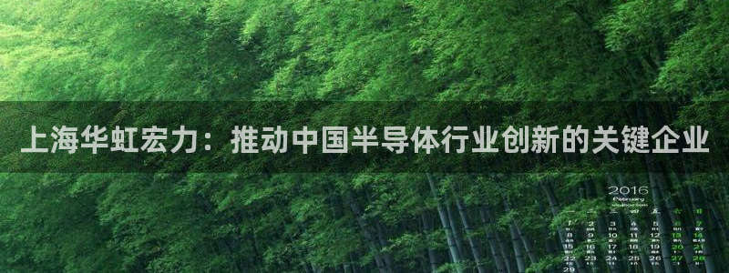 彩神v下载安装：上海华虹宏力：推动中国半导体行业创新的关键企