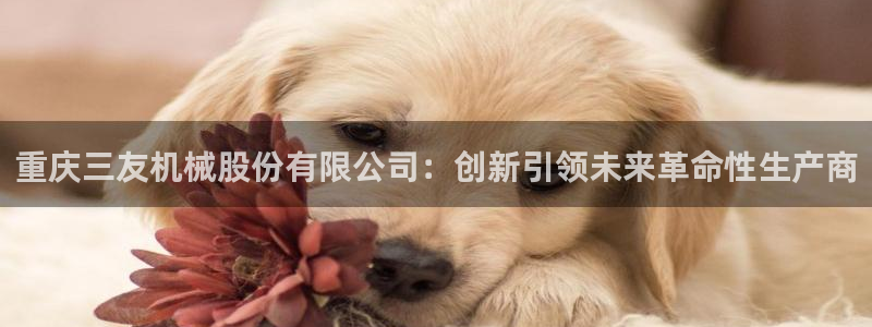 下载彩神乐发V