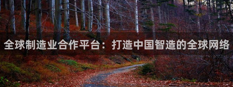 彩神v破解版：全球制造业合作平台：打造中国智造的全球网络