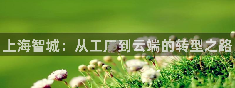 彩神网能赚钱是怎么回事：上海智城：从工厂到云端的转型之路