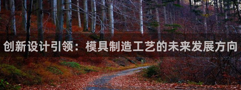 彩神vll官网在线登录：创新设计引领：模具制造工艺的未来发展方向