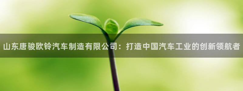 彩神网可以赚钱是真的吗：山东唐骏欧铃汽车制造有限公司：打造中