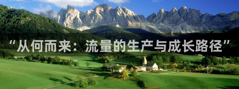 彩神通官网下载：“从何而来：流量的生产与成长路径”