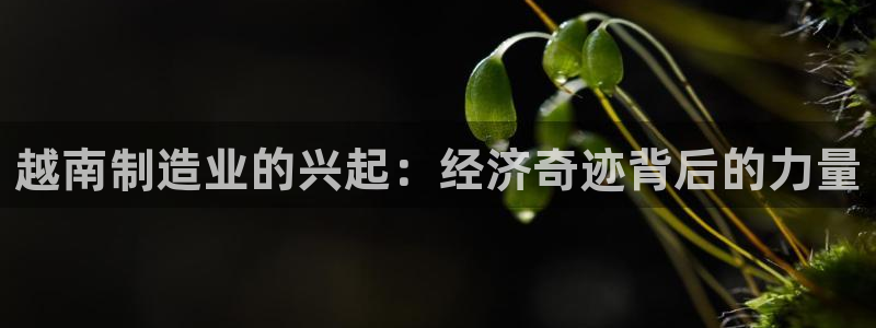 彩神vip官方网站：越南制造业的兴起：经济奇迹背后的力量