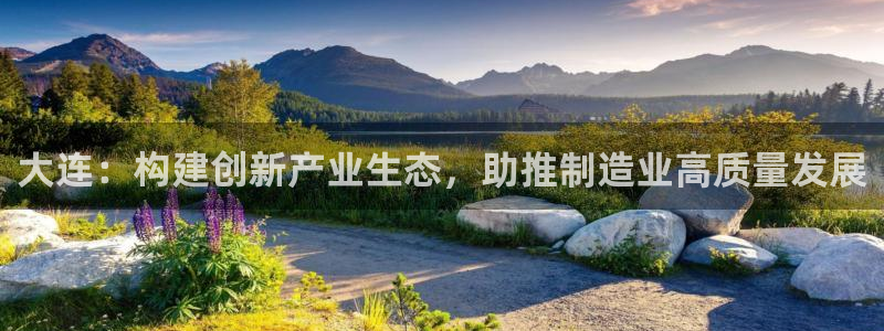 彩神通官网下载：大连：构建创新产业生态，助推制造业高质量发展