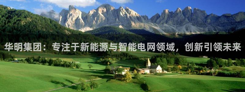 彩神vip购彩大厅下载：华明集团：专注于新能源与智能电网领域