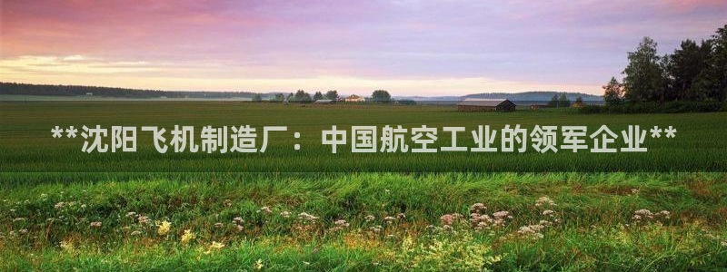 彩神8购彩-购彩大厅：**沈阳飞机制造厂：中国航空工业的领军企业**